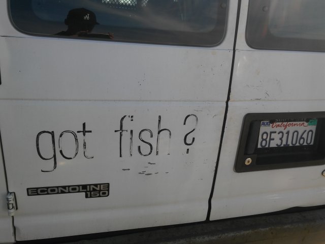 20170302_141748.jpg