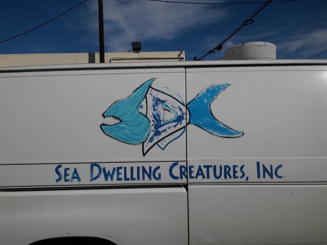 20170302_140907.jpg