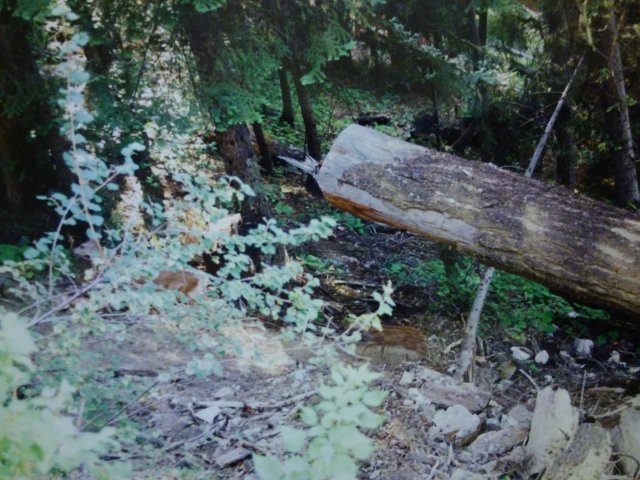 20170302_224336.jpg