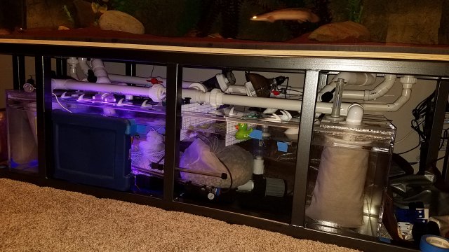 20170302_214243.jpg