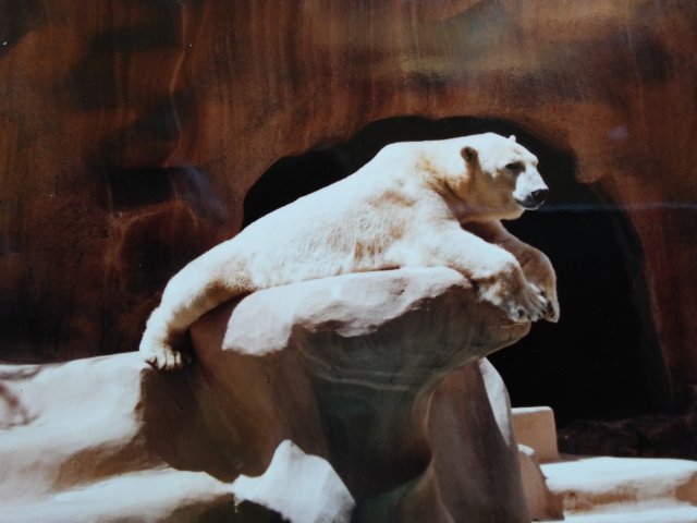 20170303_091105.jpg