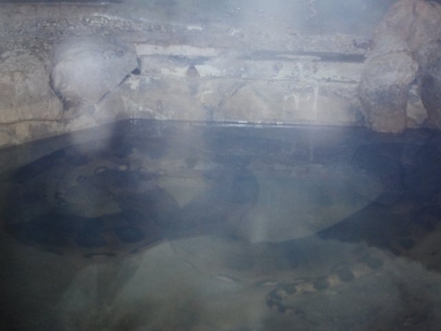 20170303_091535.jpg