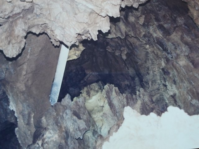 20170303_091900.jpg