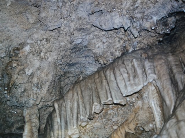 20170303_091710.jpg