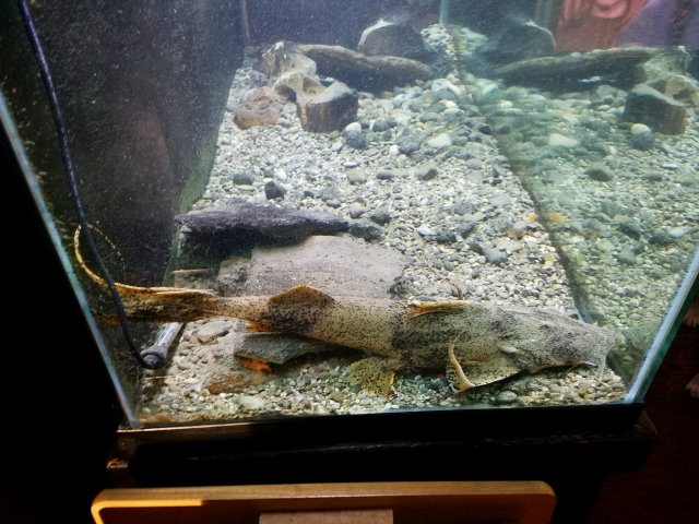 20170302_173658.jpg