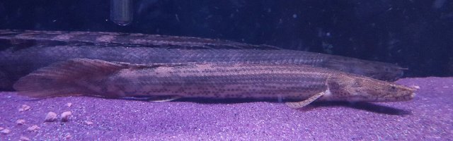 20170303_094640.jpg