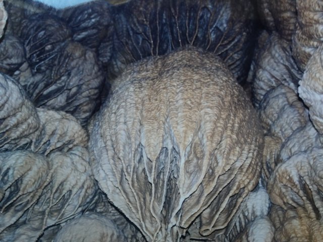 20170303_091938.jpg
