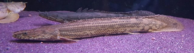 20170303_102802.jpg
