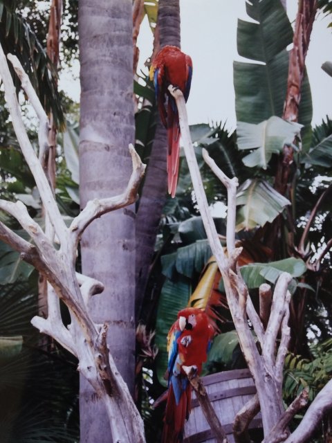 20170303_091016.jpg