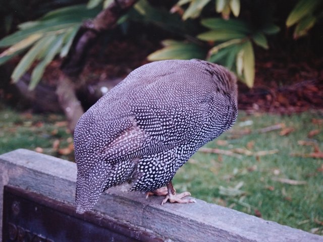 20170303_090936.jpg