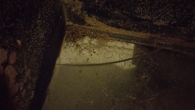 20170303_204739.jpg