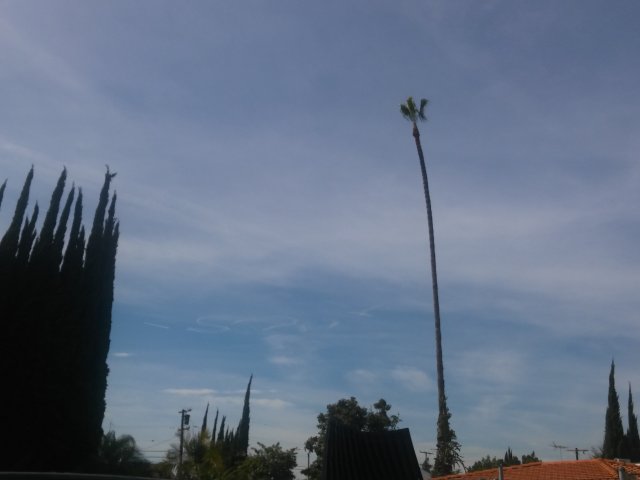20170303_140410.jpg
