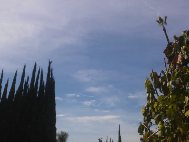 20170303_141257.jpg