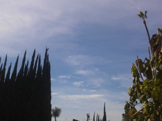 20170303_141302.jpg
