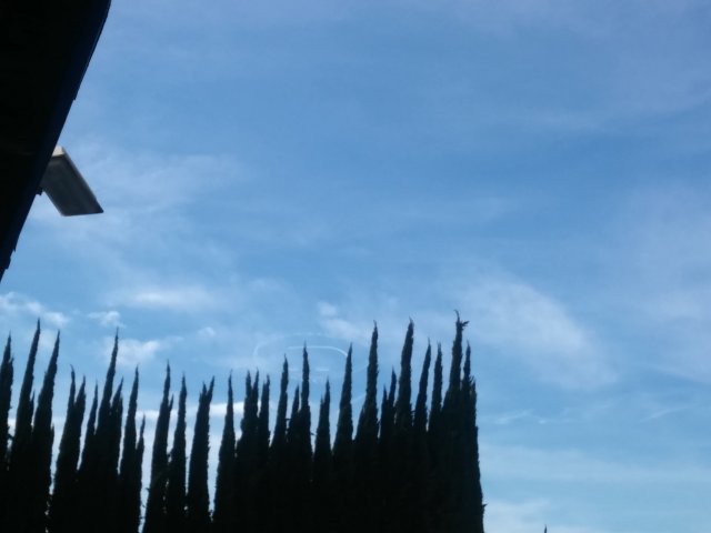 20170303_141601_HDR.jpg