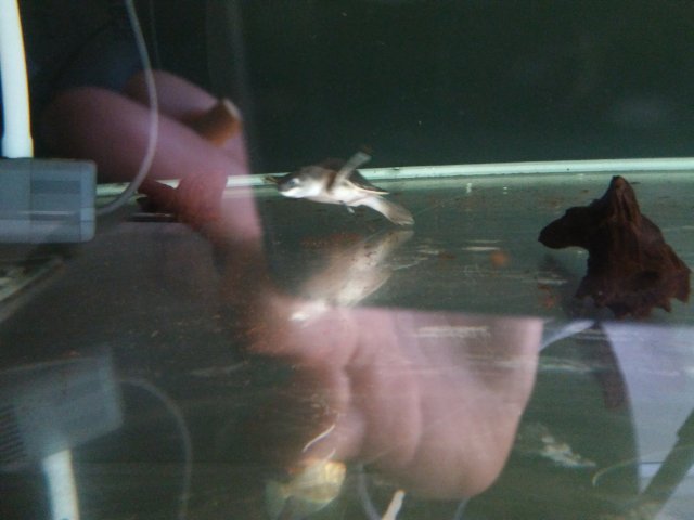 20170303_104530.jpg