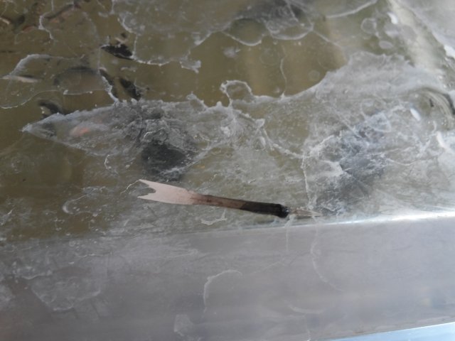 20170303_104801.jpg