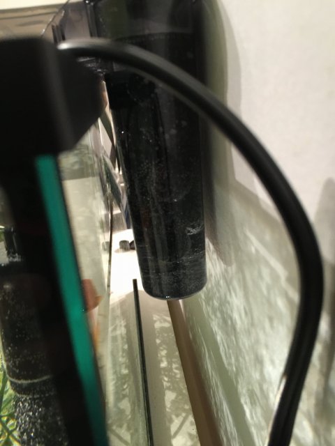 image.jpeg image.jpeg