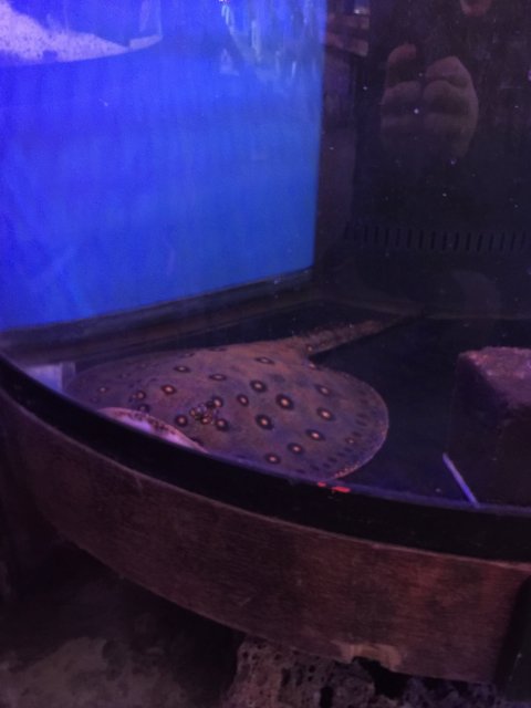 image.jpeg image.jpeg