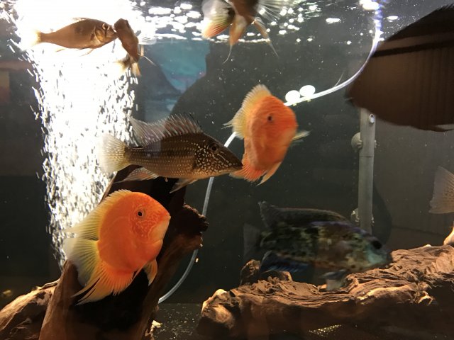 20170301_040857823_iOS.jpg