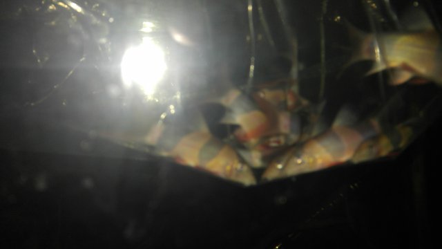 20170304_220656.jpg