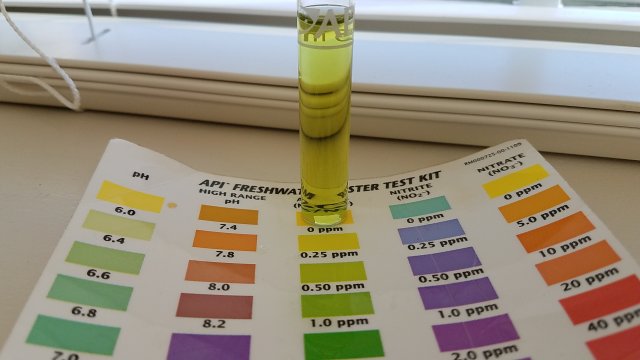 20170305_100421.jpg