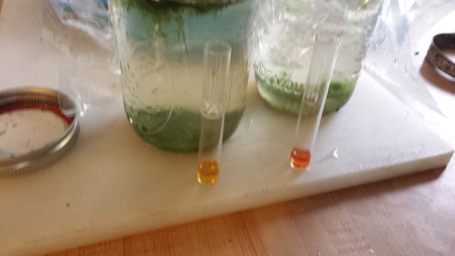 20170305_122029.jpg