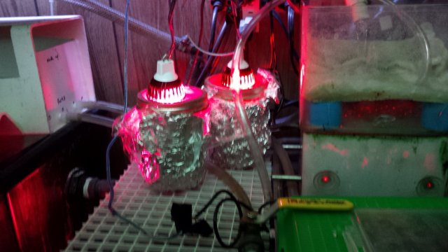20170304_063551.jpg