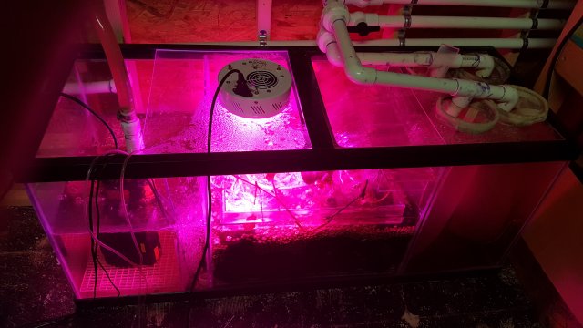 20170305_171503.jpg