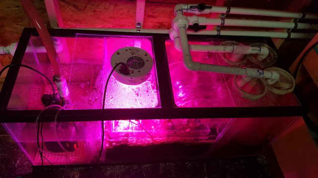 20170305_171508.jpg