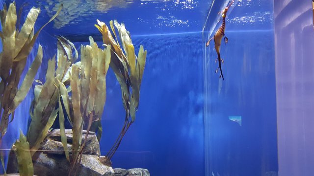 20170204_104031.jpg