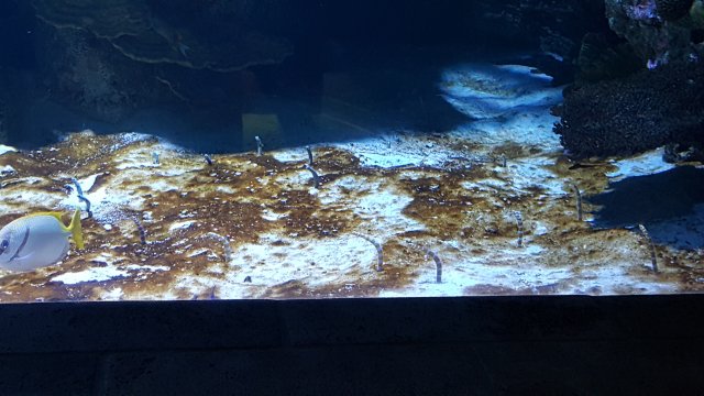 20170204_105430.jpg