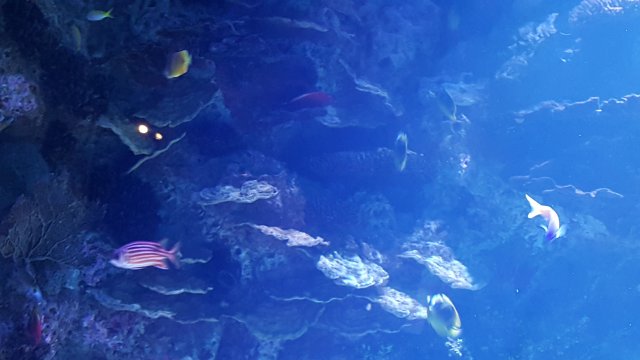 20170204_105435.jpg