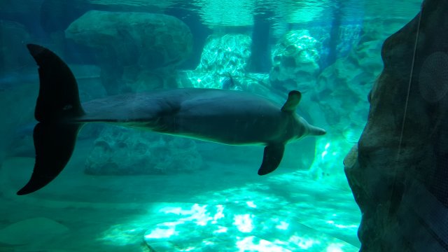 20170204_124937.jpg