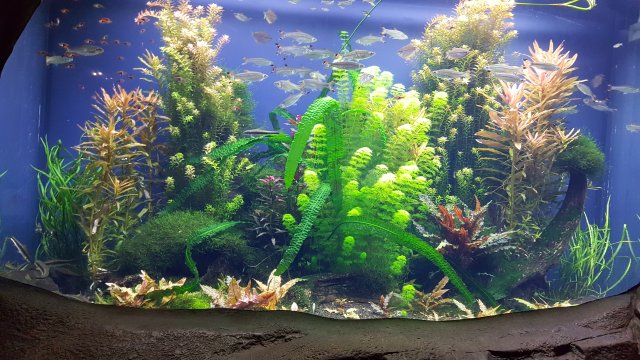 20170204_130027.jpg
