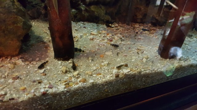 20170204_130829.jpg