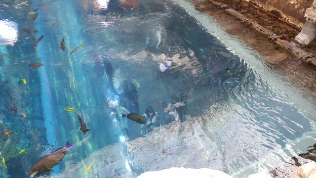 20170204_114416.jpg