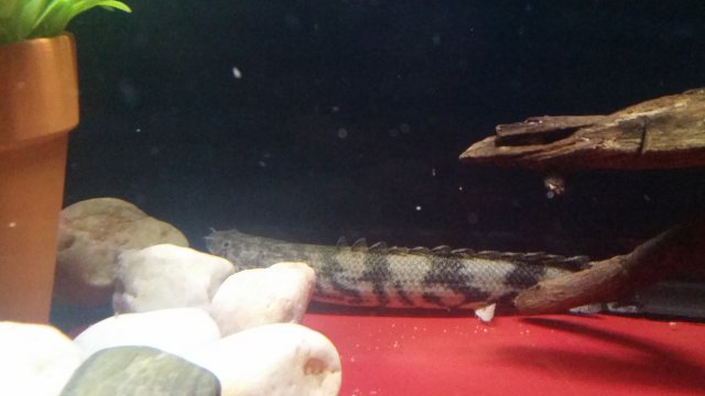 20161229_084855.jpg