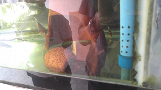 20170306_172550.jpg