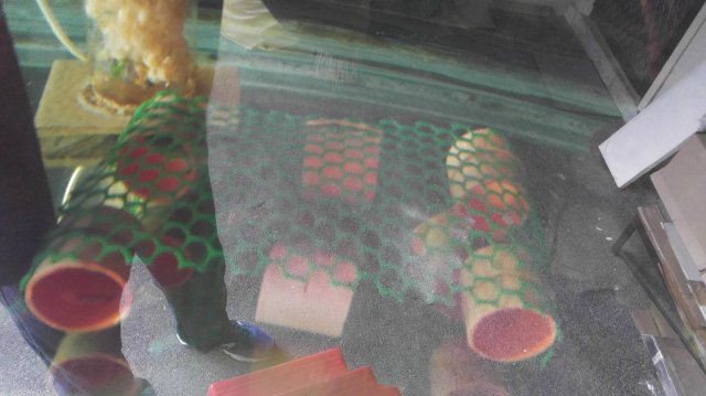 20170306_174916.jpg