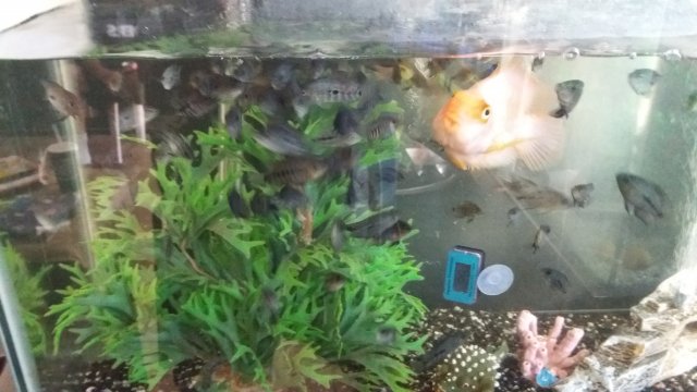 20170306_135844.jpg