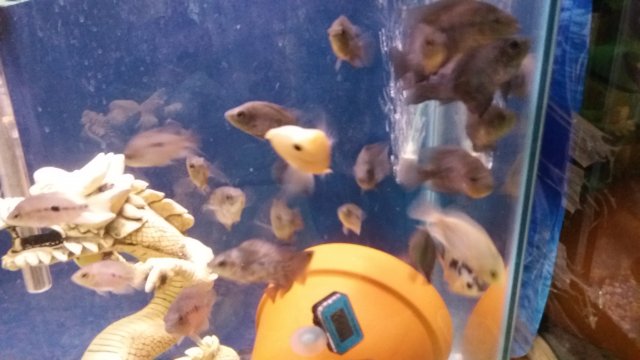 20170304_150528.jpg