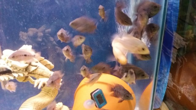 20170304_150526.jpg