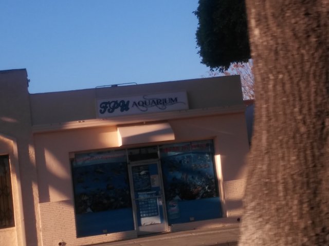 20170306_165700.jpg