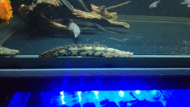 P_20170219_004929.jpg
