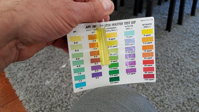 20170306_090529.jpg 20170306_090529.jpg