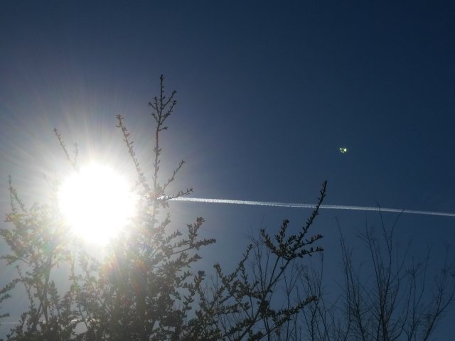 20170307_143737.jpg