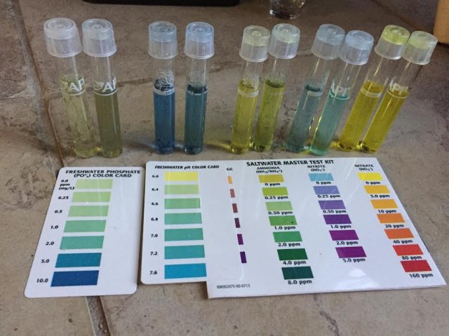 water test.jpg water test.jpg