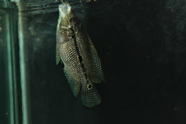 IMG_5744.JPG