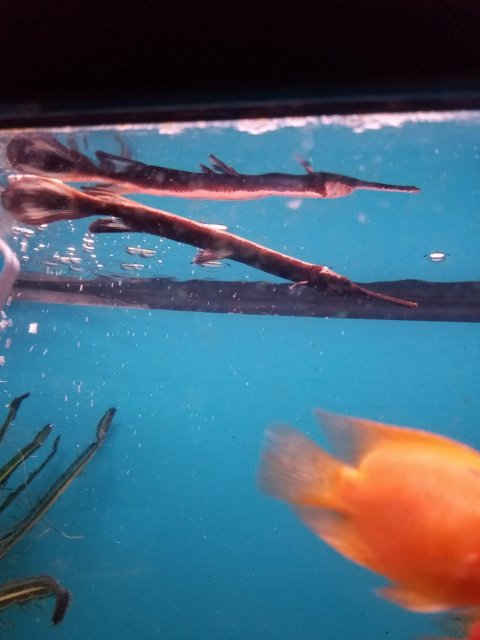 20170307_185607.jpg